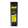 SH ALHO NEGRO CAPICILIM 250 ML