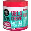 GELACREME TODECACHO COND DEFINICAO ULTRA EXTRAORDINARIA 500G